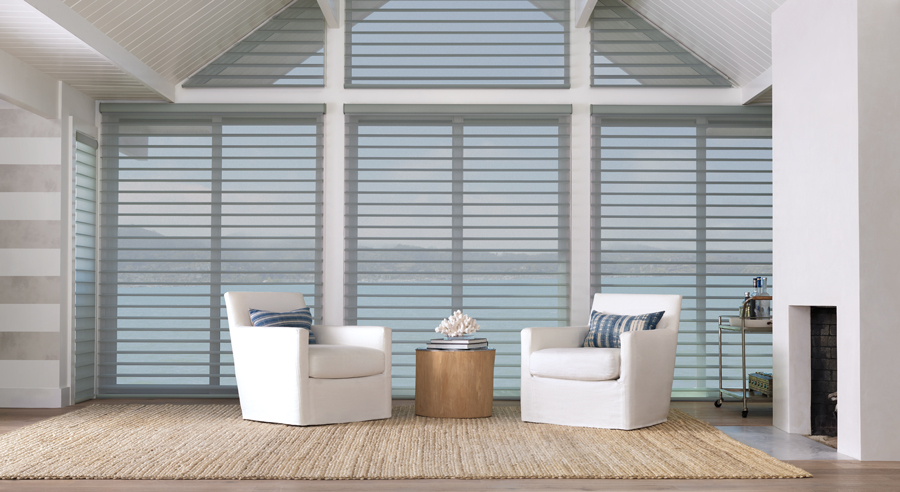 Coastal decor Silhouette shades Hunter Douglas Rocklin 95765