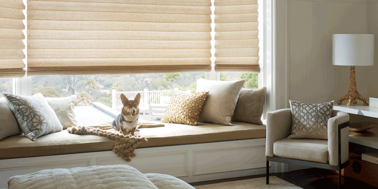 improve pet life Hunter Douglas Roseville 95661