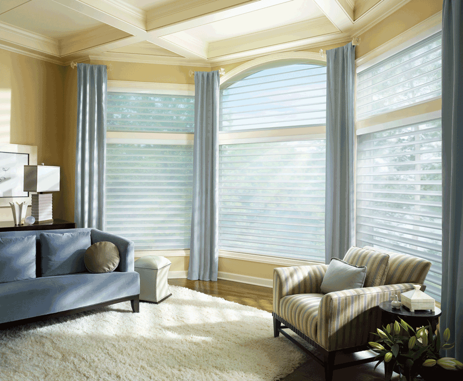 Hunter Douglas Silhouette shades arched window treatments Rocklin 95765