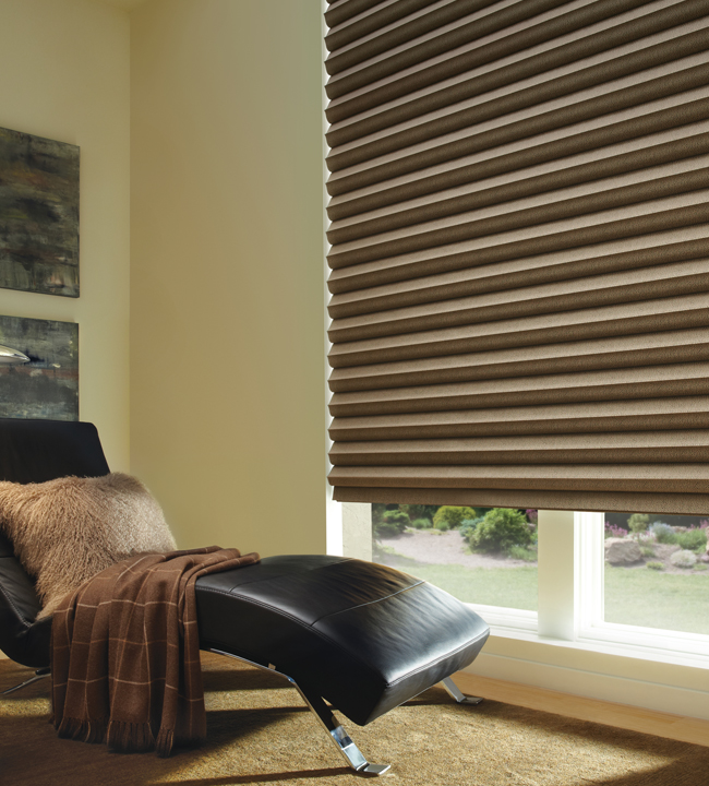 Blackout window shades to help make the most of your home in California.