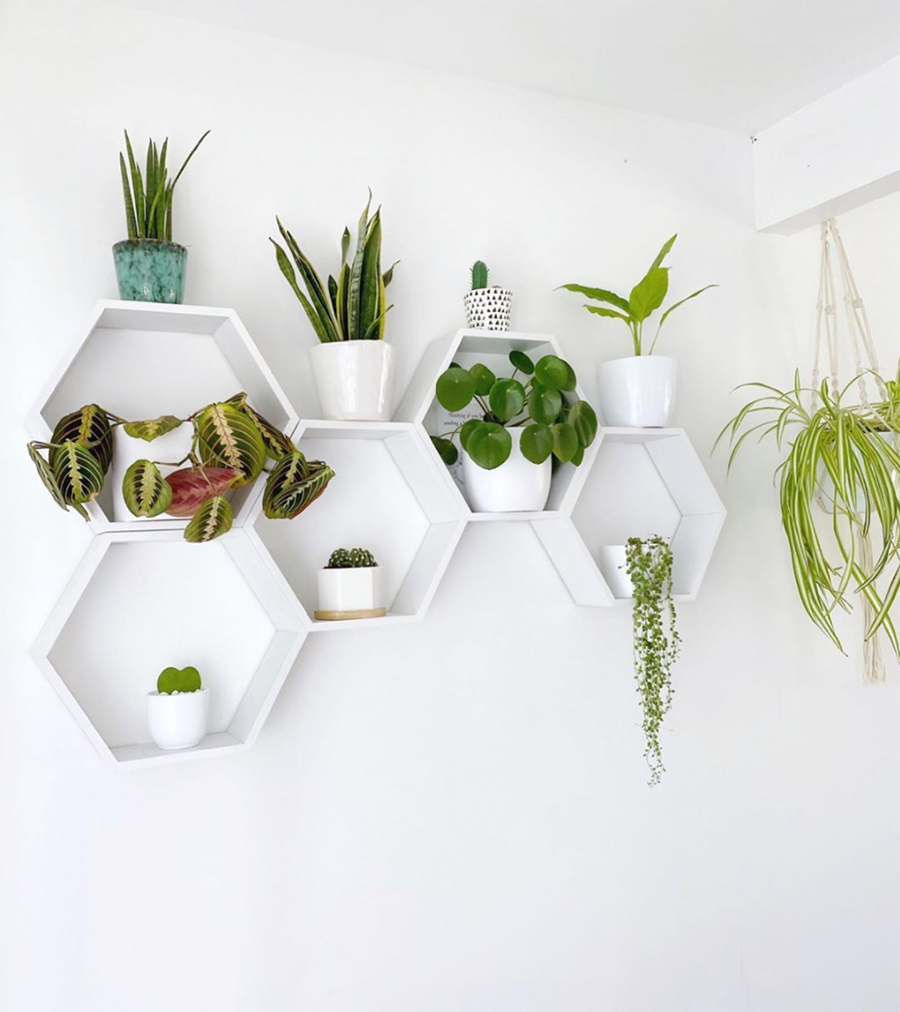 honeycomb wall shelves with plants inspired by nature