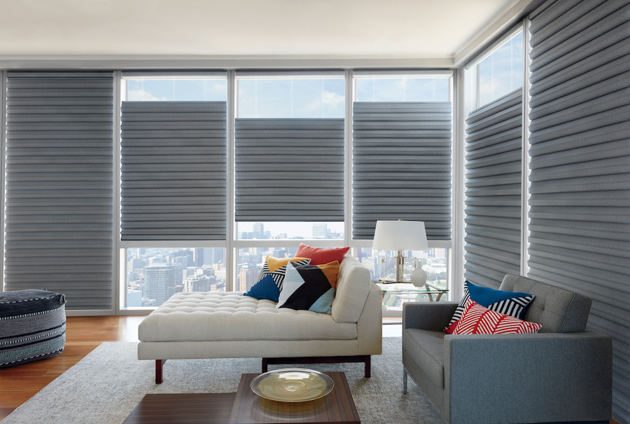 top down bottom up shades in Roseville CA living room