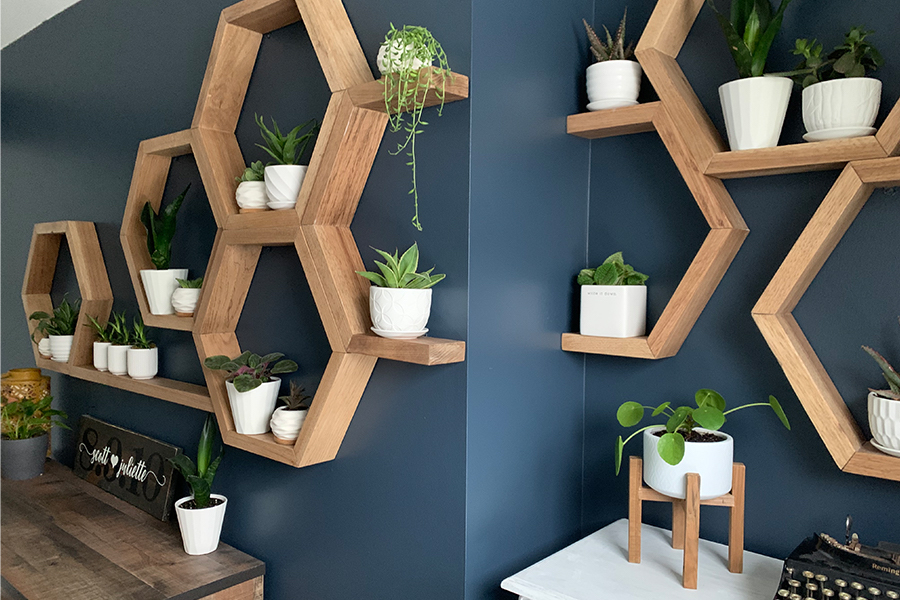 Honeycomb shelves filled with plants.