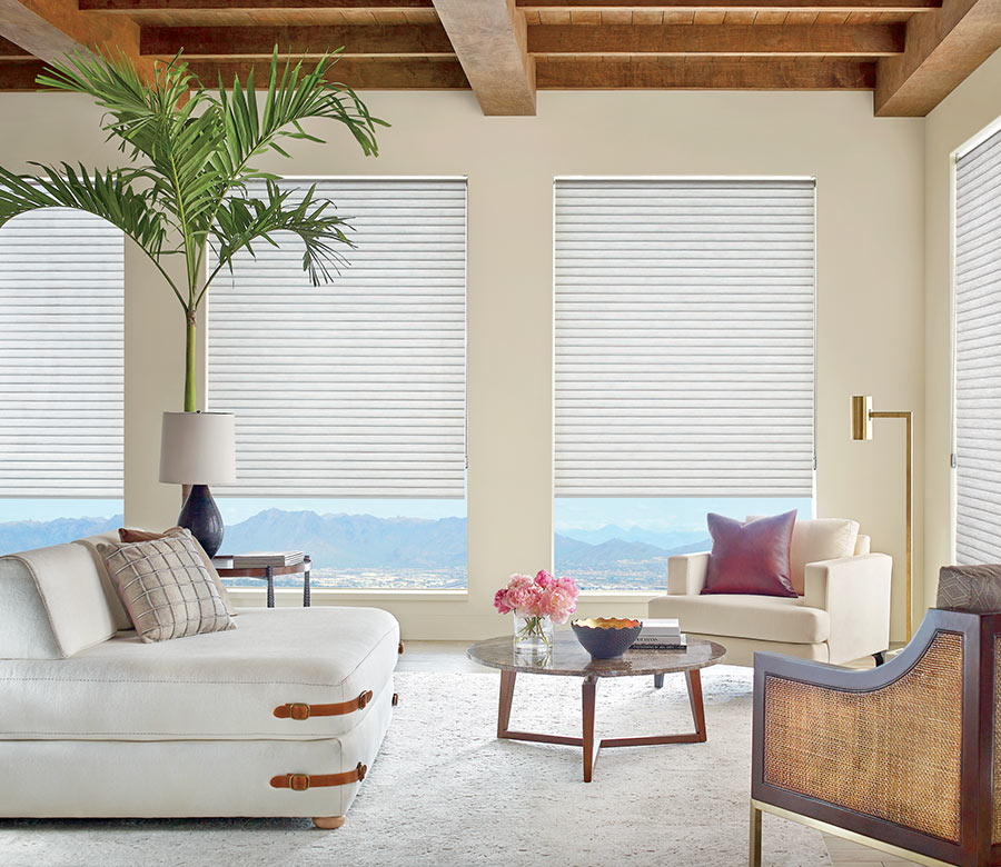 sonnette cellular roller shades in living room for energy savings in Roseville, CA home