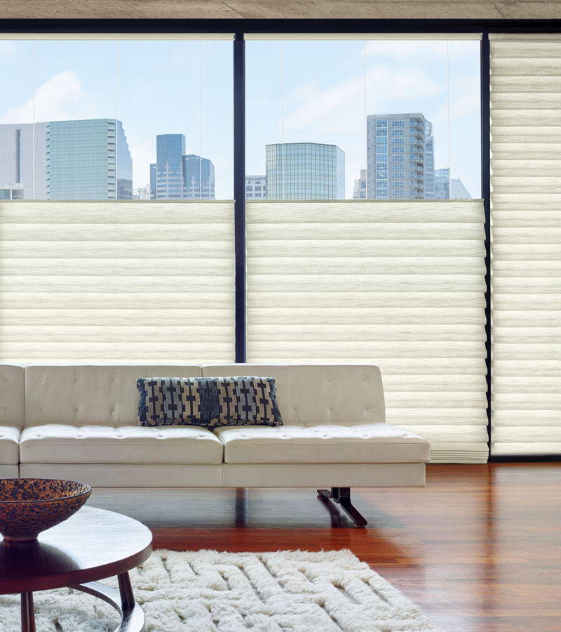 living room with floor to ceiling windows with top down roman shades Folsom, CA
