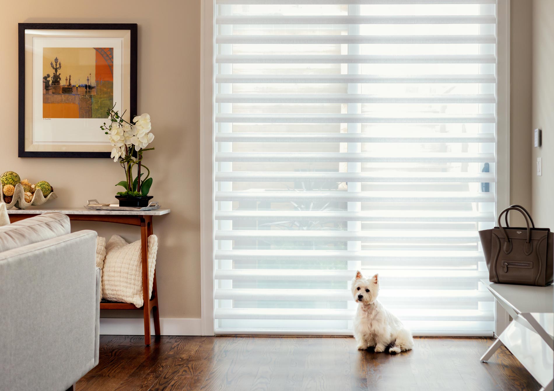 Pirouette window shadings in Roseville, CA home office and living room