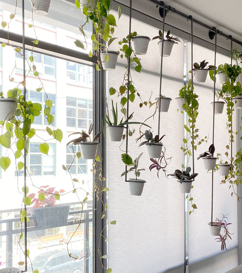 designer roller shades for large windows with plant hangers Roseville, CA