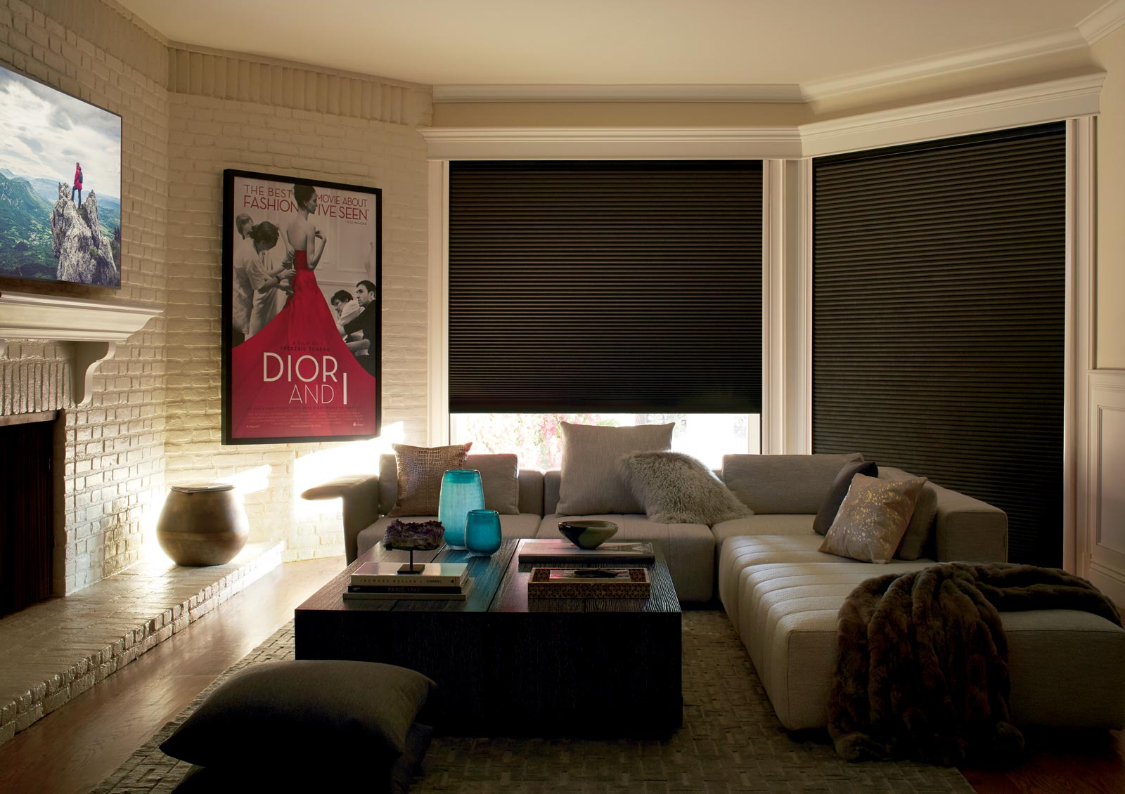 blackout cellular shades in media room in Roseville, CA