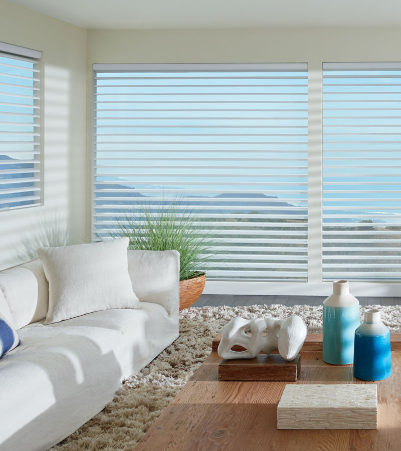 choosing window shades for view-through Folsom, CA