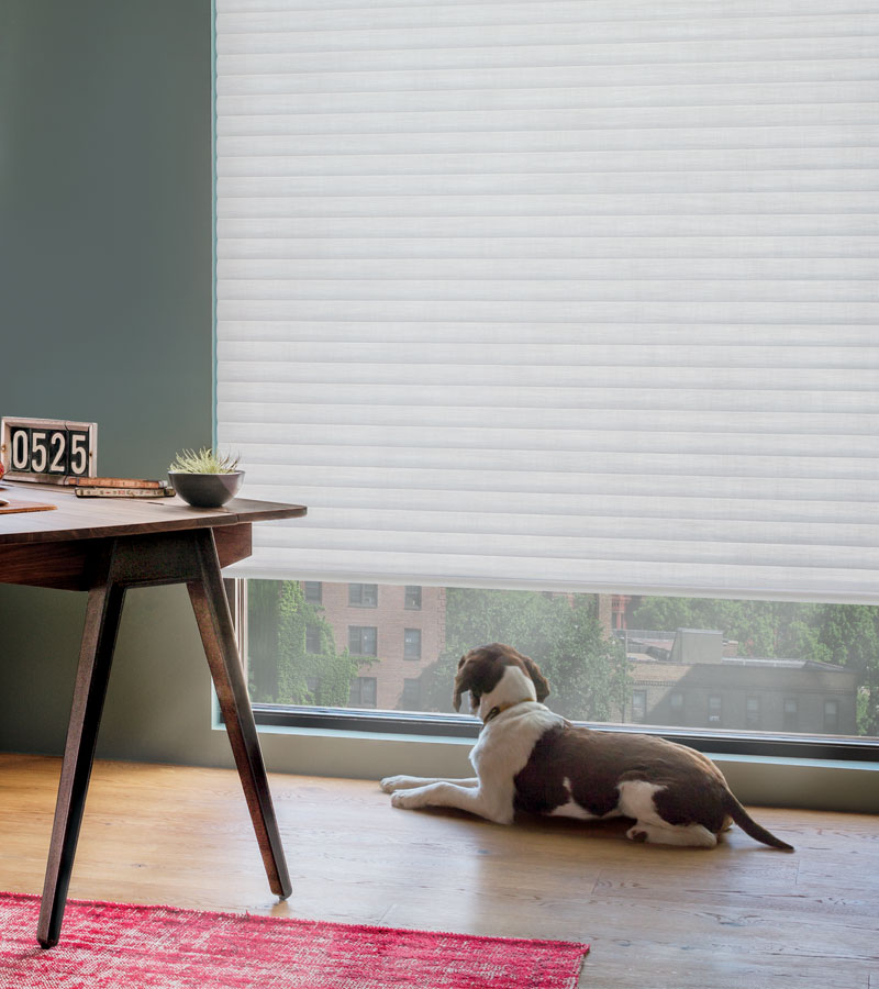 white custom cellular shades in Roseville, CA condo