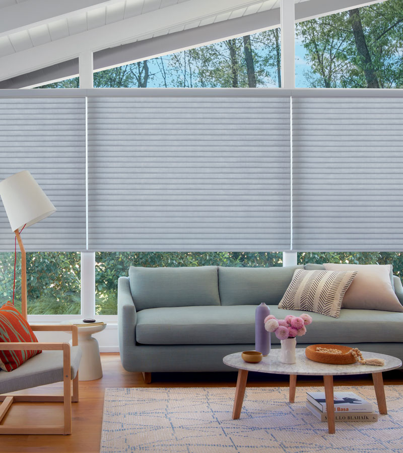 living room sonnette shades hunter douglas el Dorado Hills, Ca