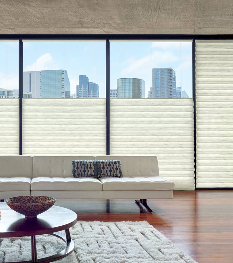 top down roman blinds on large windows in Sacramento, CA