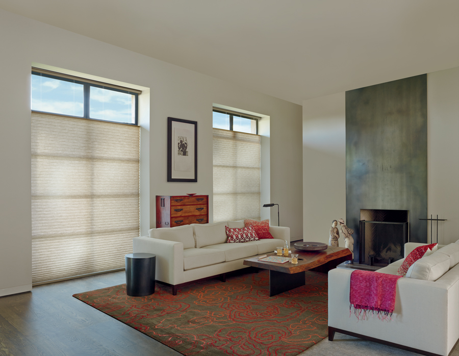 Living room with black window trim