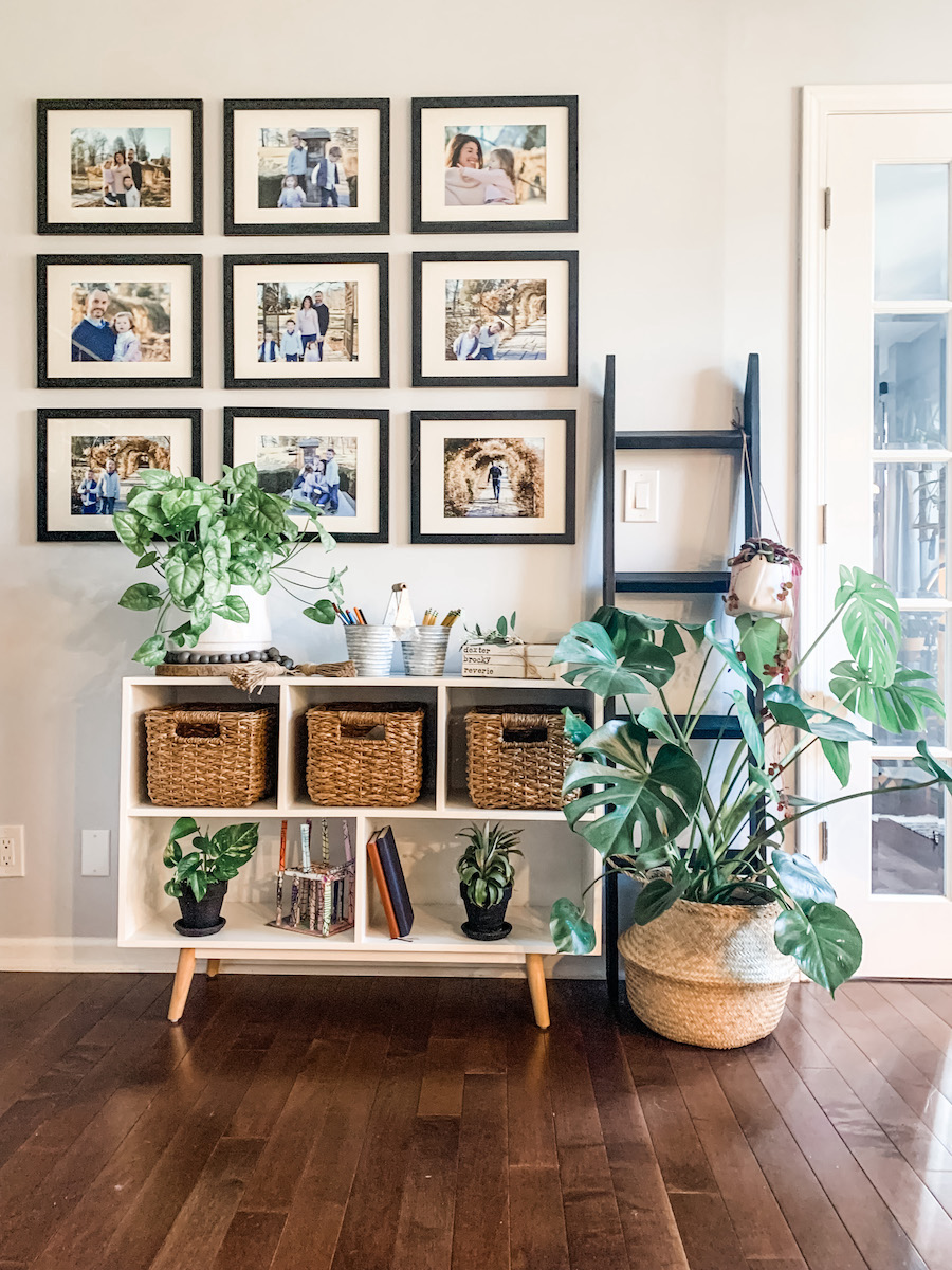 Houseplants and gallery wall surrounding shelf