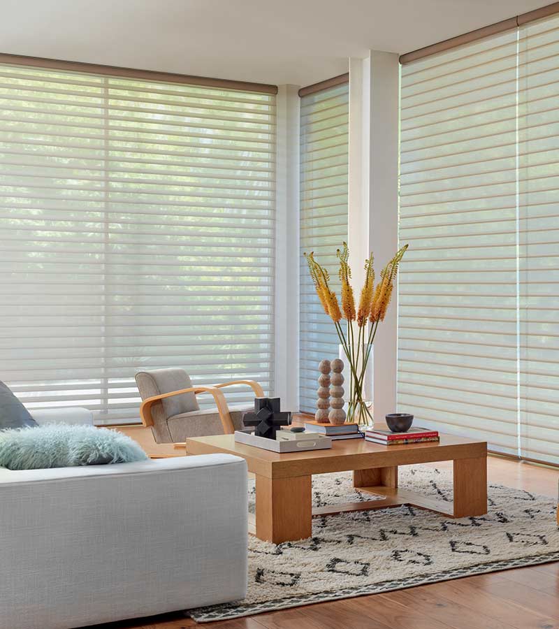 High ceilings and windows with large window treatments in Roseville, CA