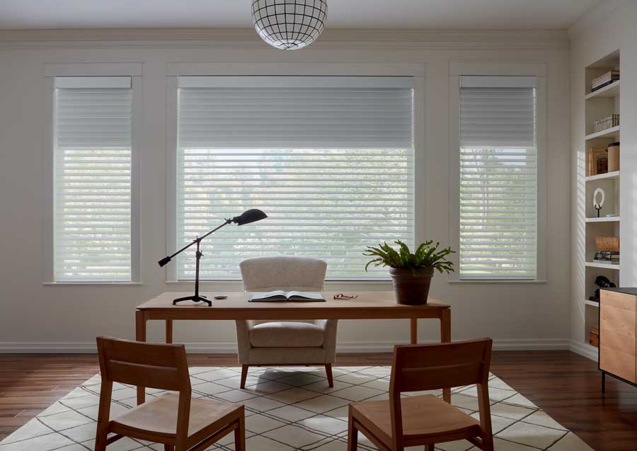 dual sheer shades in Roseville CA home office