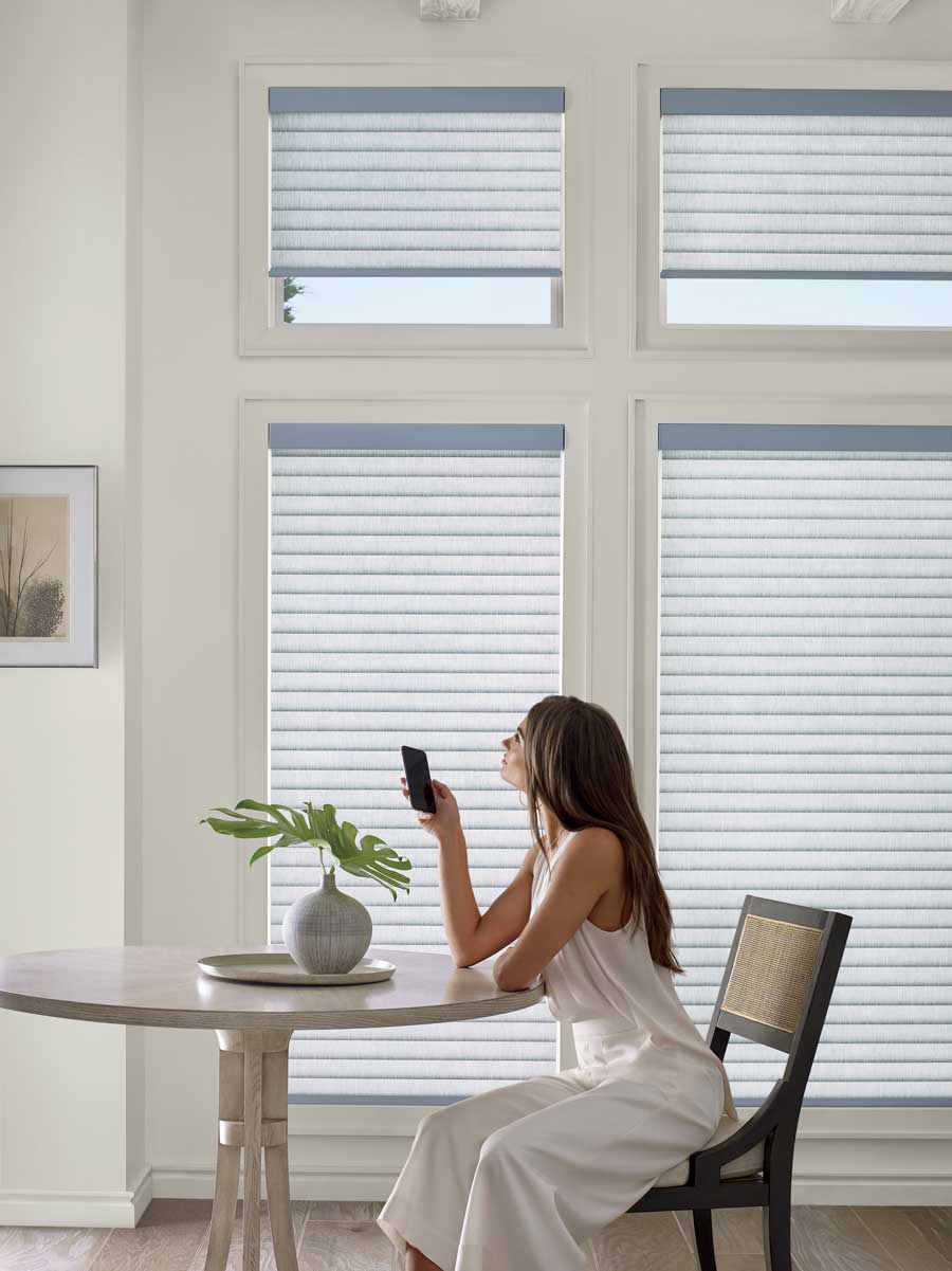 style your new roseville, ca home with rollere shades