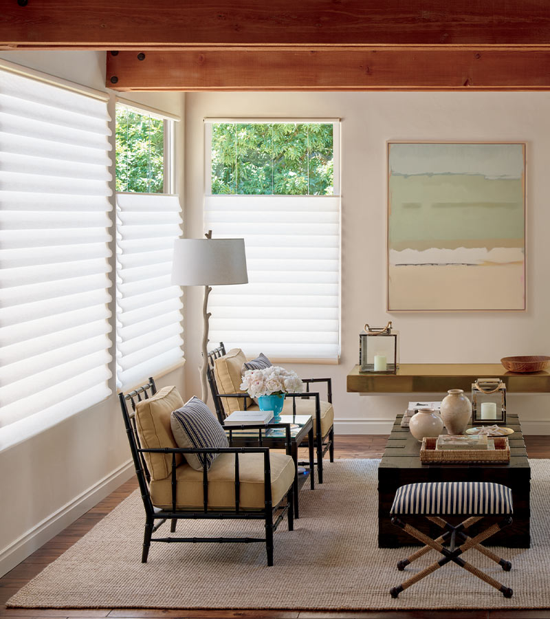 soft fabric shades with top down bottom up functionality