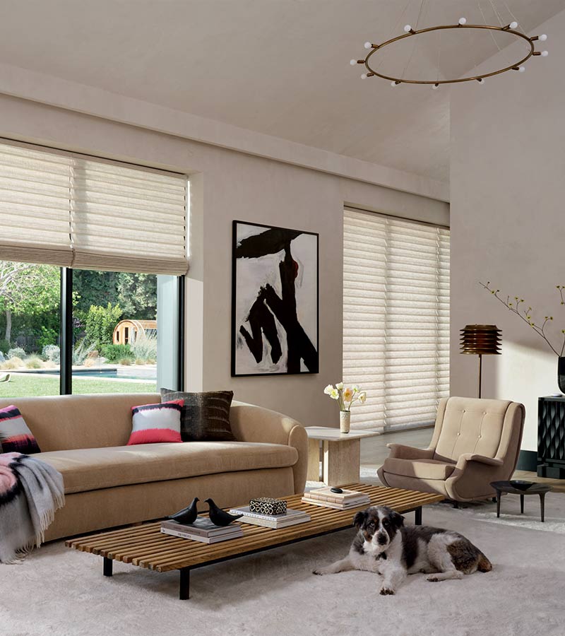 living room couch and chair large windows and soft fabric shades