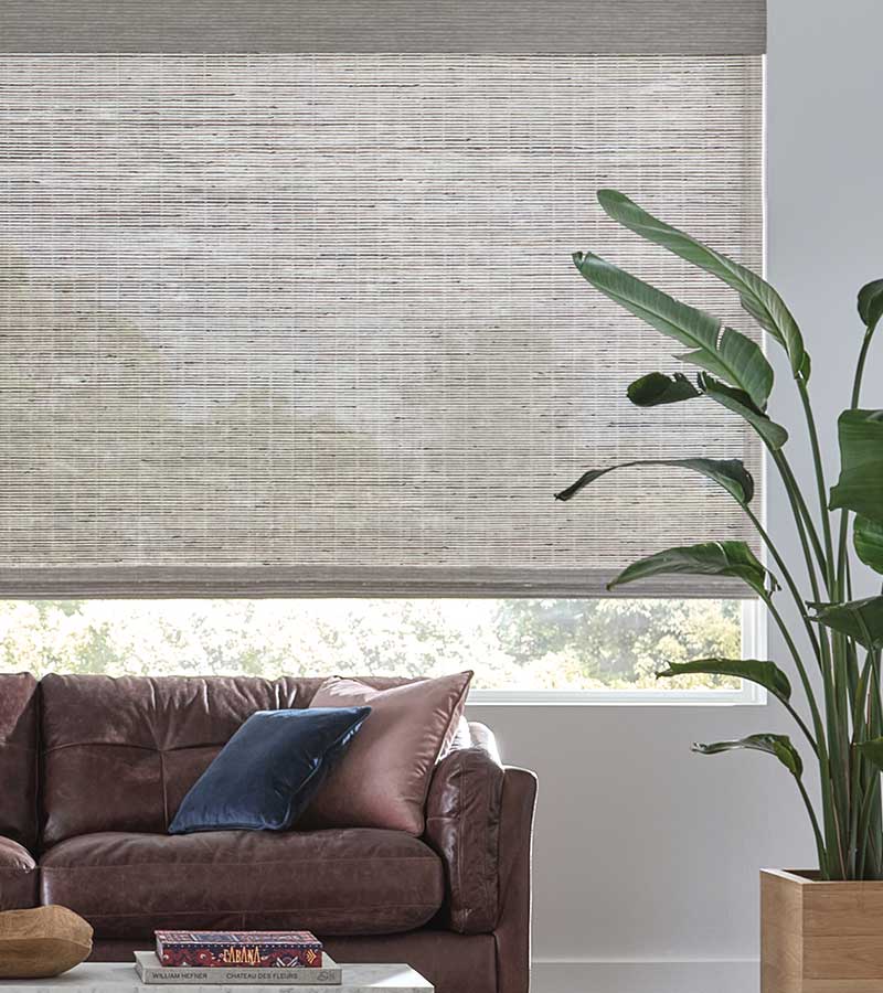gray bamboo shades next to banana leaf plant behind couch