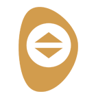 control icon