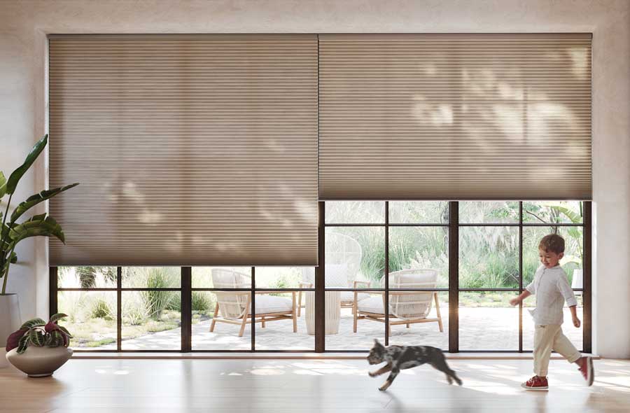floor to ceiling large windows with a child and dog running by