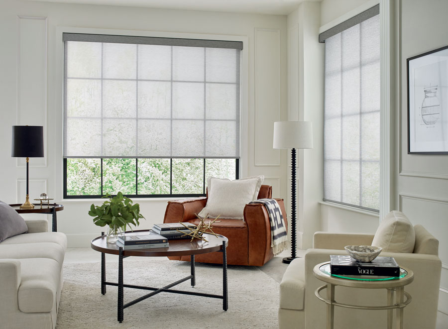 designer solar shades in living room with black windows