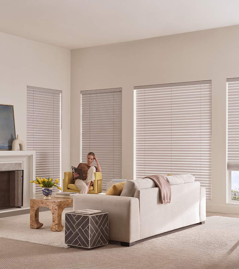 fabric blinds in living room