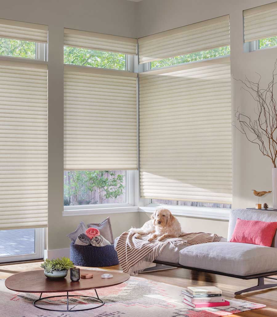 Energy efficient roller shades in Roseville, CA home