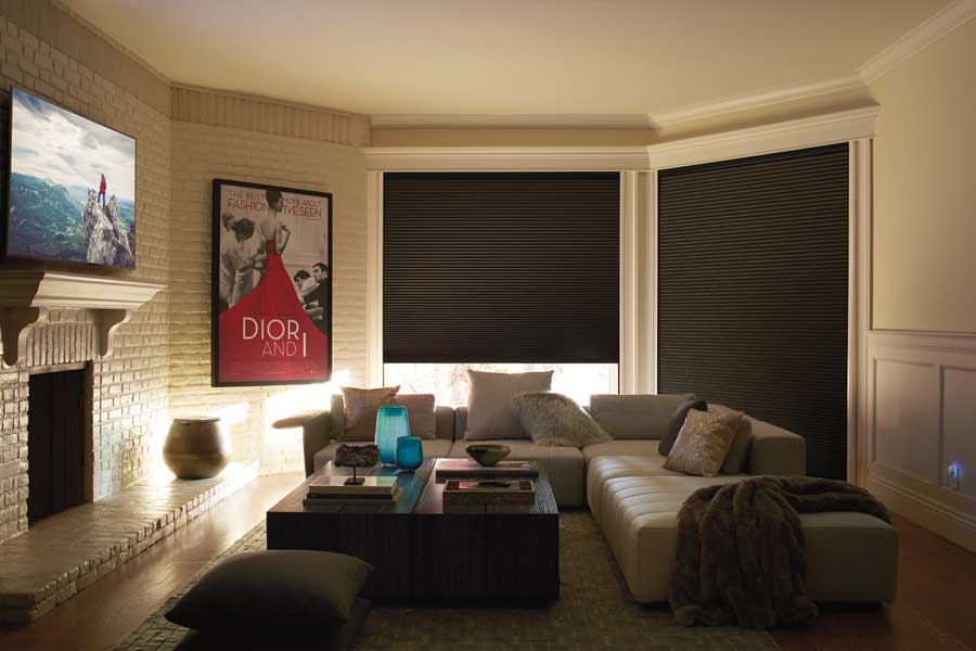 livingroom with blackout shades with poster on wall