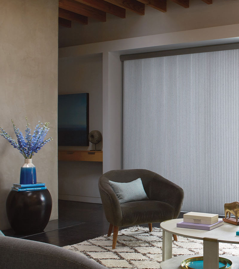 living room with white vertical honeycomb blinds