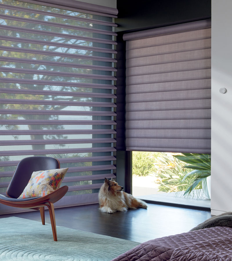 pirouette shades on two windows showing the difference between the vanes open and closed