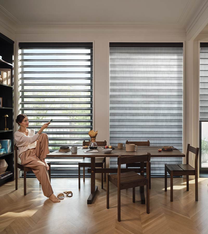 pirouette-window-treatments-automated-smart-home-window-blinds-hunter-douglas-california-window-fashions pirouette shades in multipurpose room with adjustable vanes