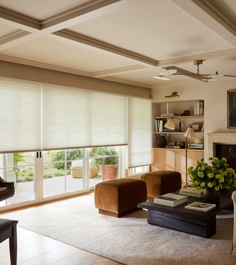 White Duette® cellular shades controlling light in a living room